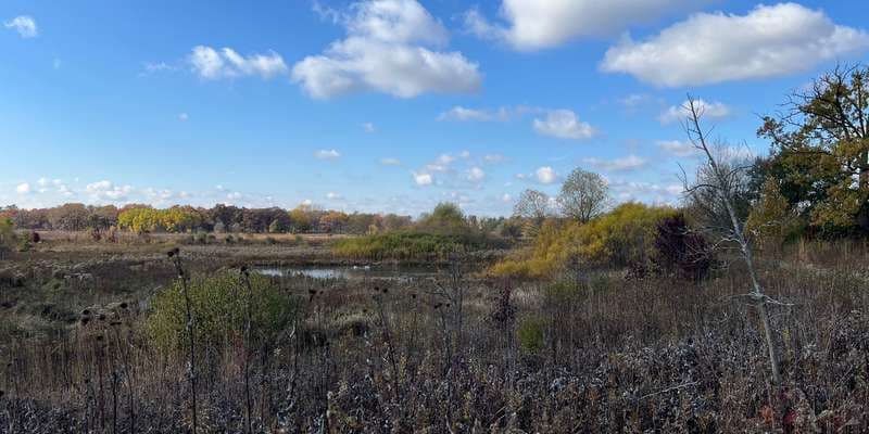 The featured photo for Middlefork Farm Nature Preserve