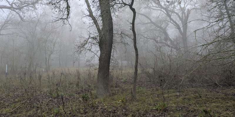 The featured photo for Riparian Habitat at the Point