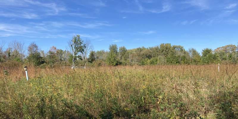 The featured photo for OWC Prairie Site