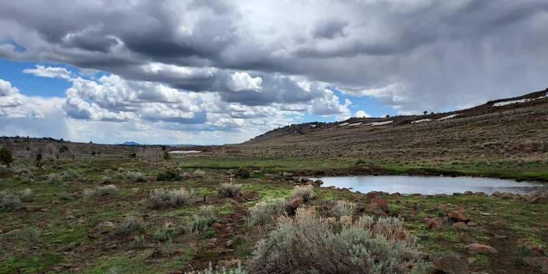 The featured photo for Rowland Spring