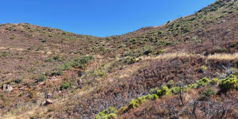 The featured photo for #WoolseyFire13