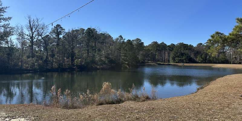 The featured photo for Catfish Pond - CHP-101