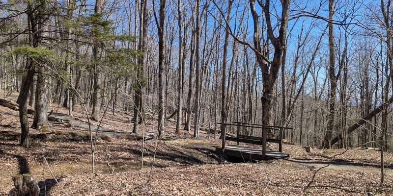 The featured photo for Woods Walk