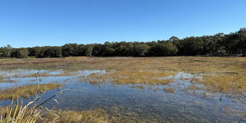 The featured photo for Guana River WMA