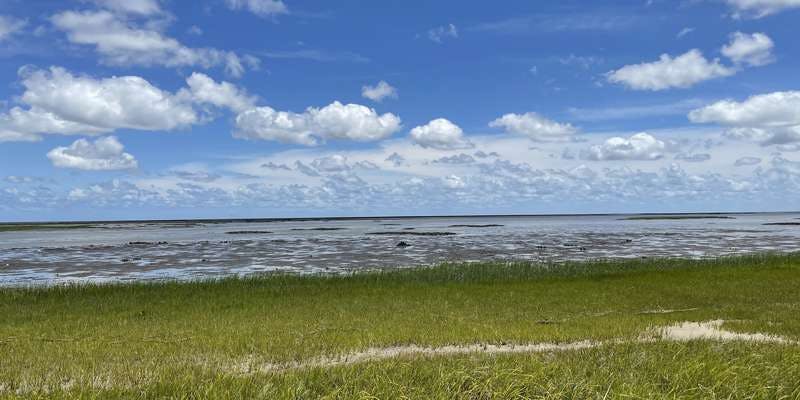 The featured photo for Horse Island Trail Oysters - Oyster, VA