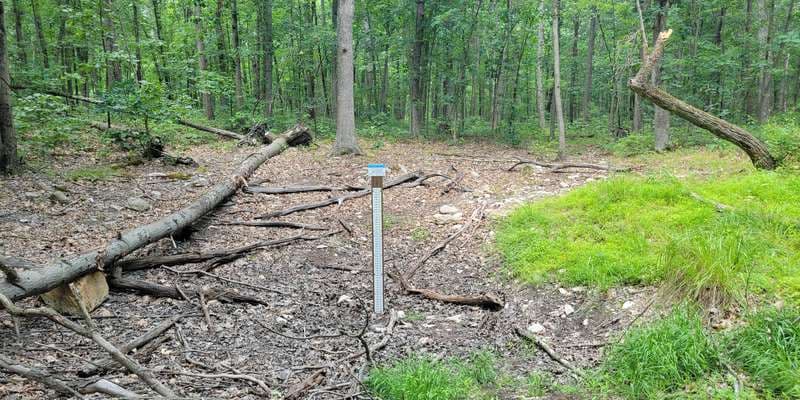 The featured photo for Kings Gap - Forest Pool 2