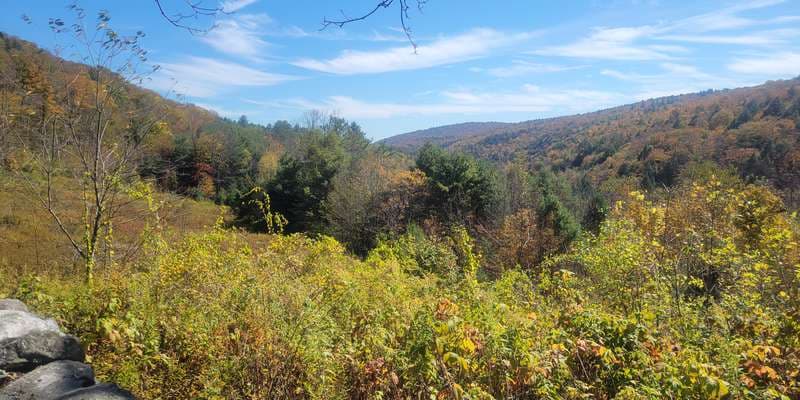 The featured photo for West Branch Brook Valley