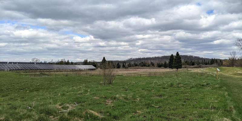 The featured photo for MCM Prescribed Fire Restoration Site