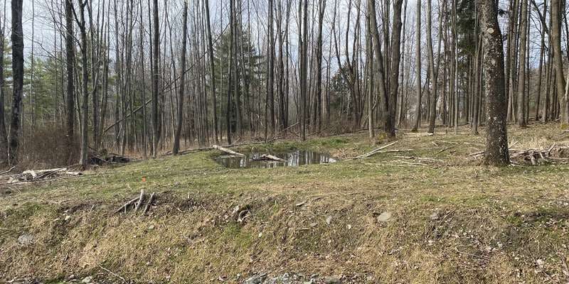 The featured photo for Nuthatch Hollow Creek Restoration & Vernal Pool