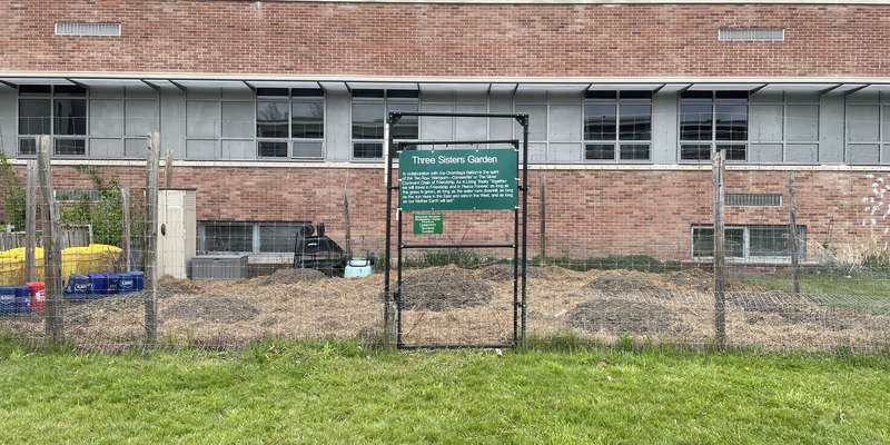 The featured photo for Three Sisters Garden at Binghamton University, Science 1 Courtyard