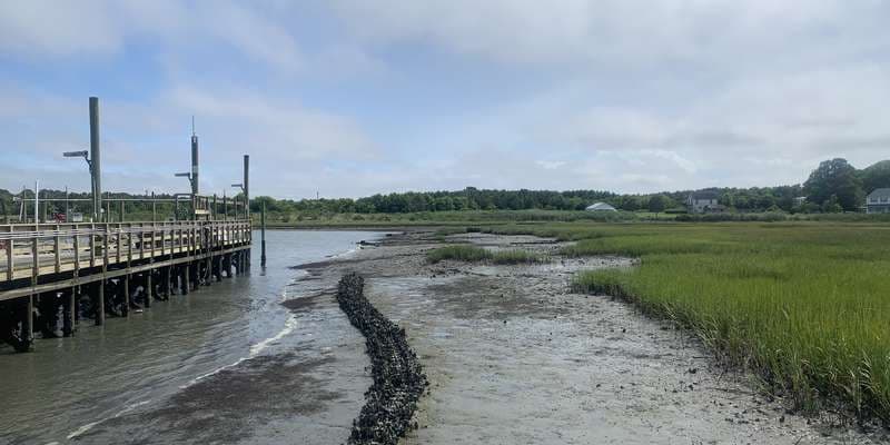 The featured photo for Coastal Research Center Dock - Oyster, VA