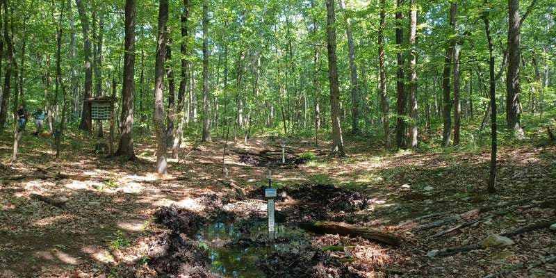 The featured photo for Kings Gap - Forest Pool 1 South