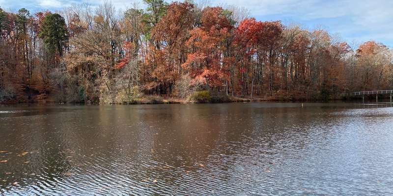 The featured photo for Westhampton Lake