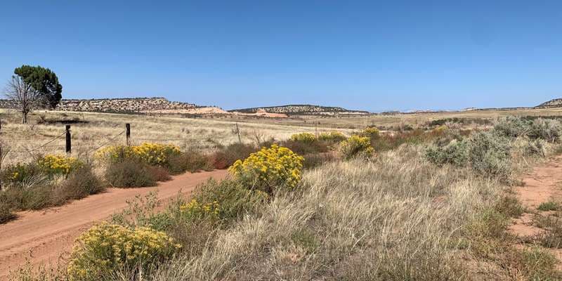 The featured photo for Sieber Fire restoration site