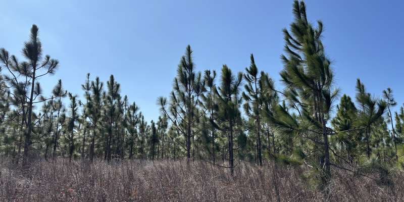 The featured photo for L. Kirk Edwards WEA