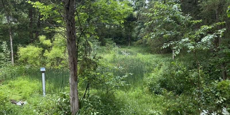 The featured photo for Pinchot - Wentz Pond