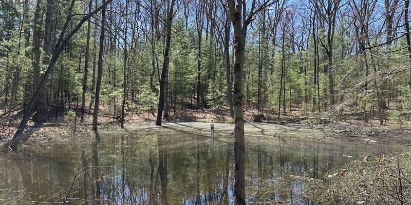 The featured photo for Kings Gap - Pine Pool 3