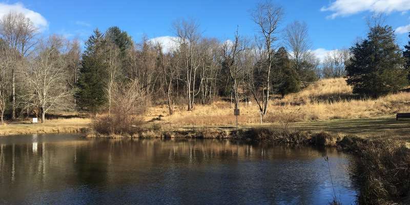The featured photo for North Branch Rock Creek - Pond