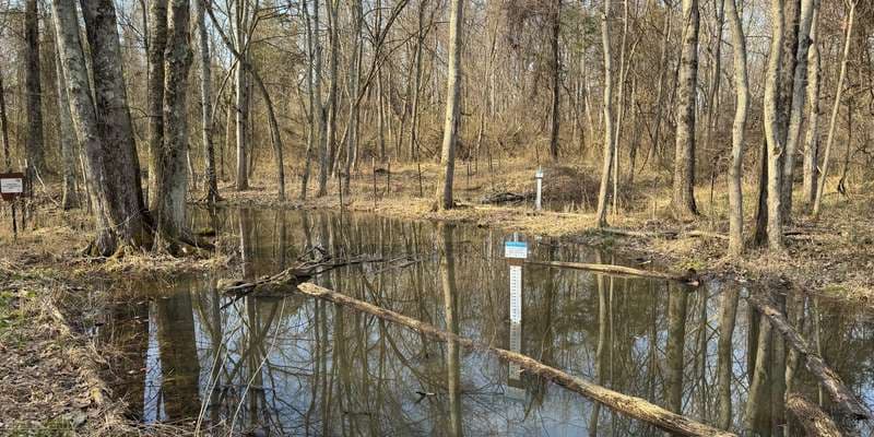 The featured photo for Pinchot - Farm Pool