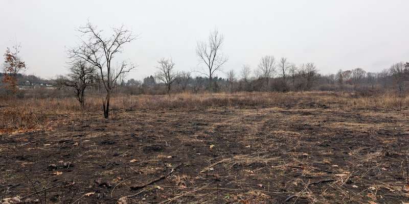 The featured photo for Oxbow Prairie