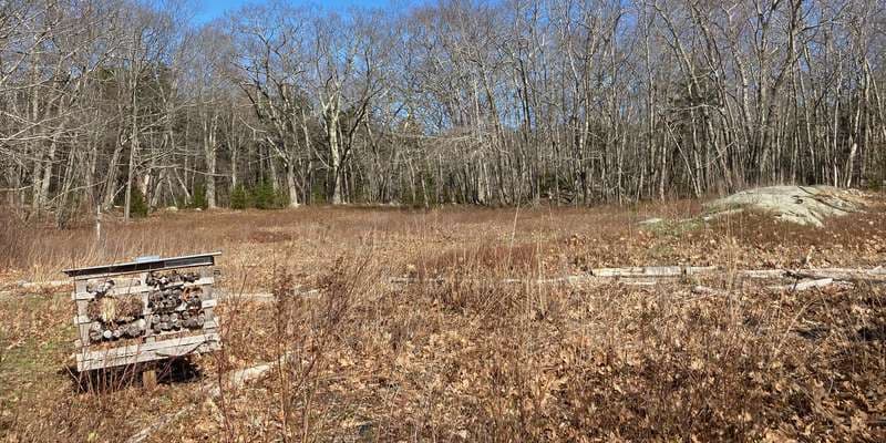 The featured photo for Timber Point Pollinator Garden