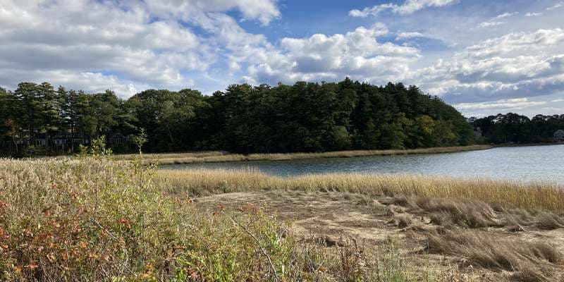 The featured photo for Salt Marsh at Maine Audubon's Gilsland Farm