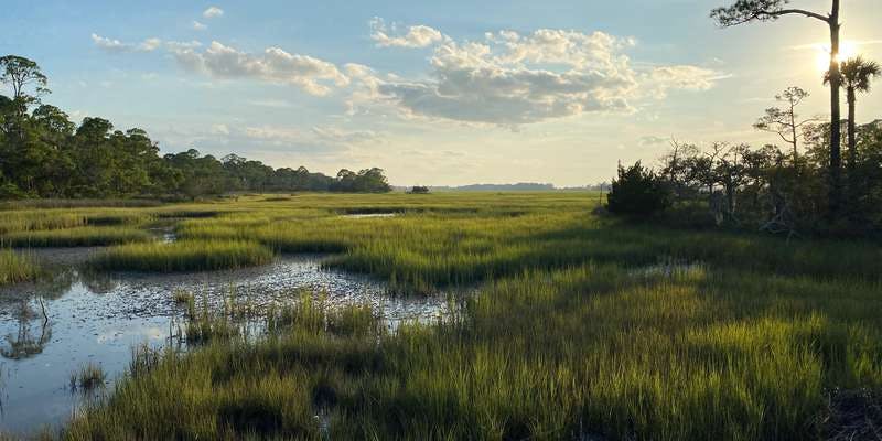 The featured photo for Marsh Island Park Nature Area