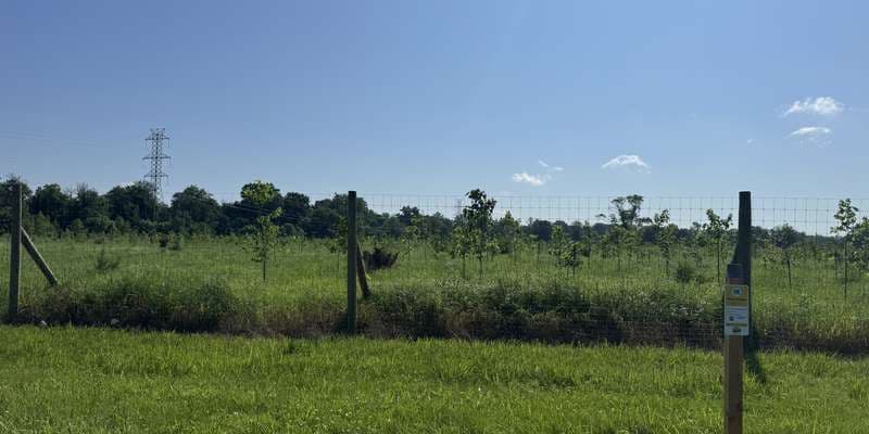 The featured photo for Raritan River Floodplain Reforestation Project