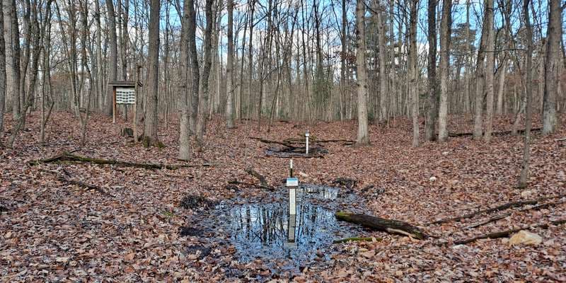 The featured photo for Kings Gap - Forest Pool 1 South
