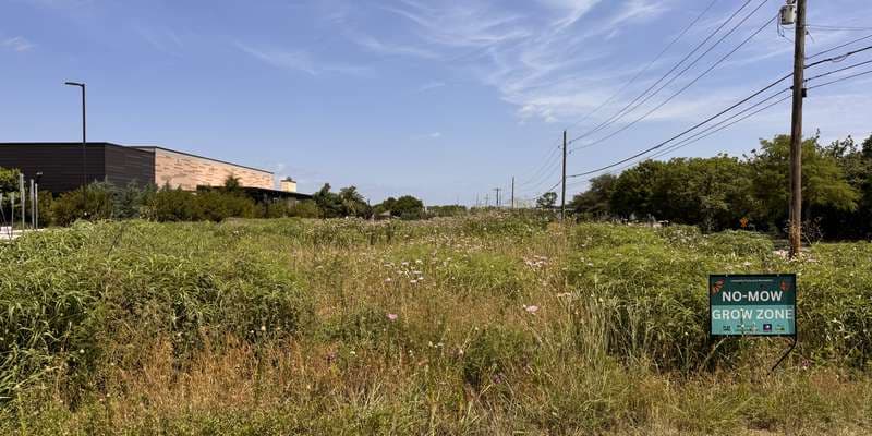 The featured photo for Thrive Pollinator Area