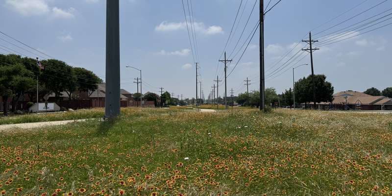 The featured photo for Garden Ridge Trail - Pollinator Area