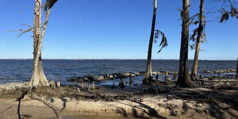 The featured photo for CHP-103