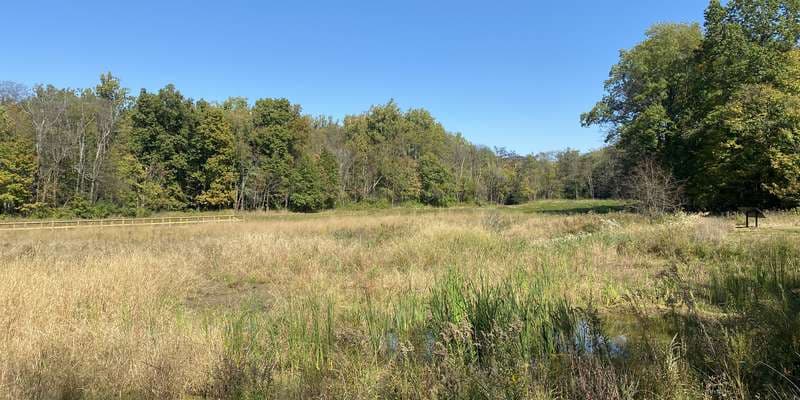 The featured photo for Sandusky River Headwaters Preserve Wetland & Habitat Restoration