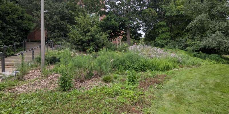 The featured photo for Beal Botanical Garden | Pollinator Garden