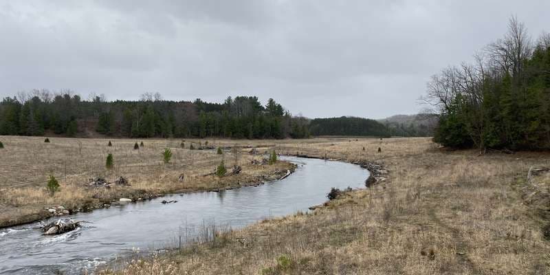 The featured photo for Sabin Bottomlands