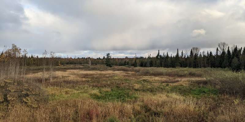 The featured photo for Mitchell Creek Meadows Nature Preserve - Overlook