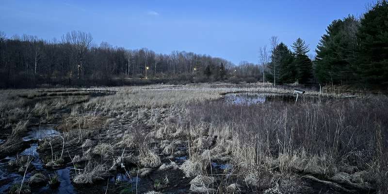 The featured photo for Nature Preserve Pond