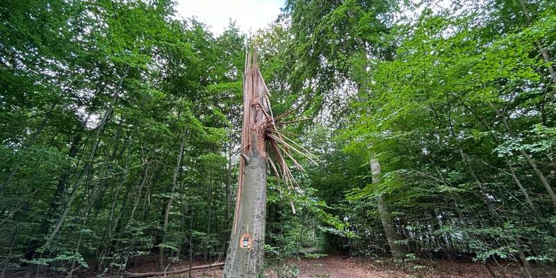 The featured photo for Bræmlevænge, Langeland