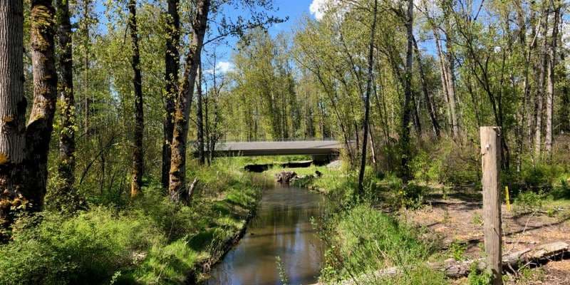 The featured photo for Squalicum Creek Re-route Phases 1 and 2 - Downstream Station