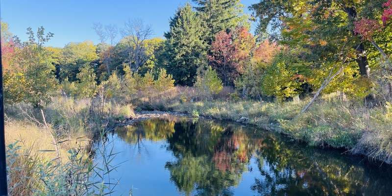 The featured photo for Euclid Creek Stream Restoration