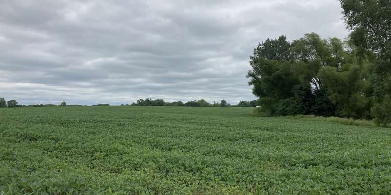 The featured photo for Montpelier Wetland Restoration