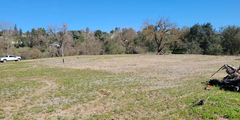 The featured photo for Kerr Park, Revegetated Fill Area