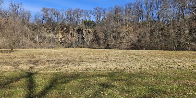 The featured photo for Alapocas Run State Park - Remediation Field