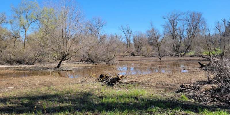 The featured photo for Kerr Park, Wetland Rehabilitation