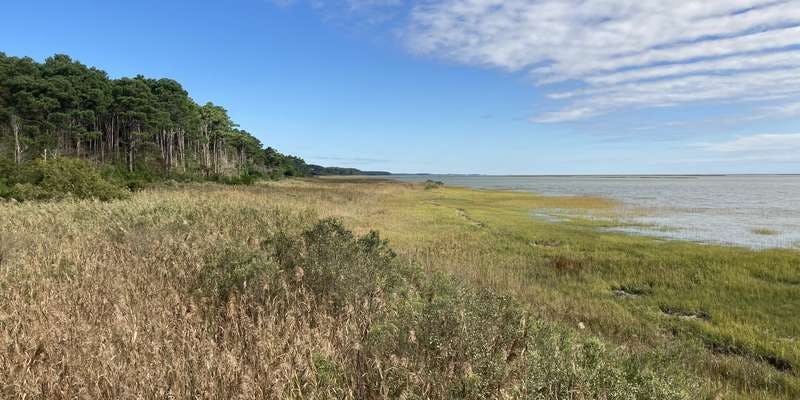 The featured photo for Seaside Trail - Edward S. Brinkley Preserve, Cape Charles, VA