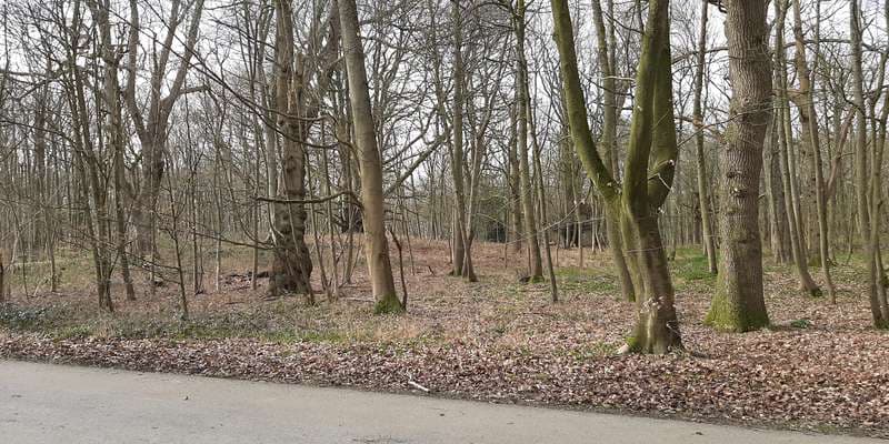 The featured photo for WWS115