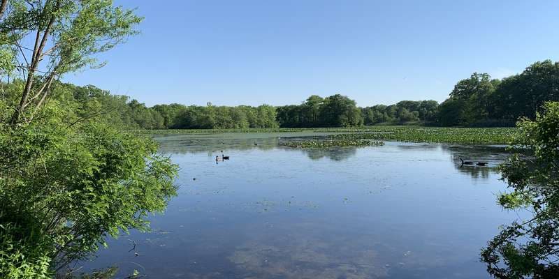 The featured photo for Wantagh Mill Pond