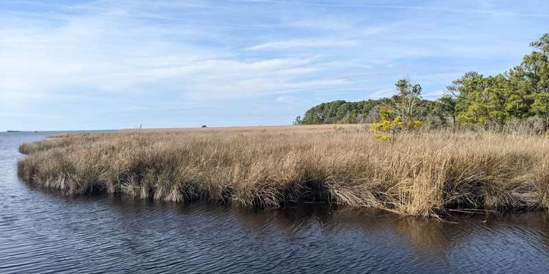 The featured photo for Currituck Banks Reserve