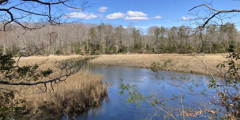 The featured photo for Biscoe Gray Heritage Farm Cathole Trail