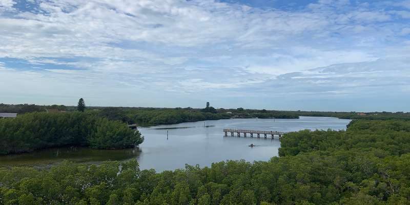 The featured photo for The Tower at Weedon Island Preserve